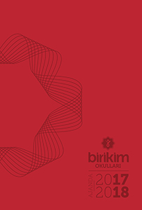 Birikim Okulları Reklam Ajansı